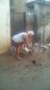 mygov_14753791403363621