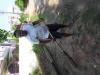 mygov_1475389428981777