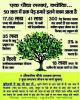 mygov_149571464912102