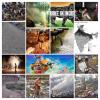 mygov_149709997617552