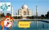 mygov_150230358448140271