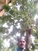 mygov_150862914349320531