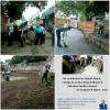 mygov_151241213132892844
