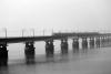 mygov_151964221850223541