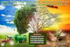 mygov_15245580261212737
