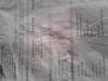 mygov_153175307952453151