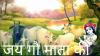 mygov_154204004951070151