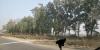 mygov_154598878854789371
