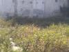 mygov_154606504147124441