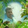 mygov_155319154053204221