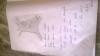 mygov_155858183758341201
