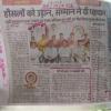 mygov_156949125852698021