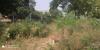 mygov_157737620843880561