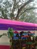 mygov_157958746159018777