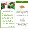 mygov_157976835761068751