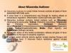 mygov_158480558559800351