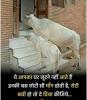 mygov_158781047369699021