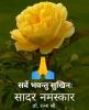 mygov_159311579550830751