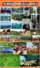 mygov_160269487475606801