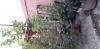 mygov_16033666581007517