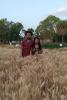 mygov_160346591372742521