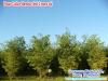 mygov_160933773981827841
