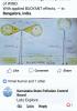 mygov_161059669774286771 mygov_161059669774286771
