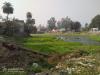 mygov_16136254721106029