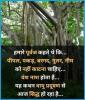 mygov_161425304165558421