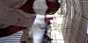 mygov_162203974152392961