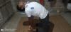 mygov_162420330990377861