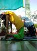 mygov_162424004749511021 mygov_162424004749511021