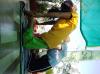 mygov_162424134490592761