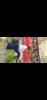 mygov_162425004990603131 mygov_162425004990603131
