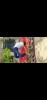 mygov_162425006490603131 mygov_162425006490603131
