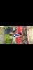 mygov_162425007890603131 mygov_162425007890603131