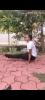 mygov_162427205690629391 mygov_162427205690629391