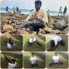 mygov_162470715390677691