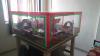 mygov_162633050458612431