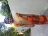 mygov_162833977186758381