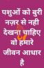 mygov_163245400356629