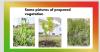 mygov_164794513599224201 mygov_164794513599224201
