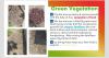 mygov_164794514799224201