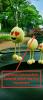 mygov_165338322365795531