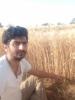 mygov_1656867402108632281
