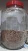 mygov_16646820921176159