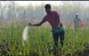 mygov_1674307464115163351