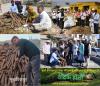 mygov_16785008601421601