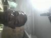 mygov_167854896890910397