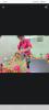 mygov_1721624047150186807 mygov_1721624047150186807